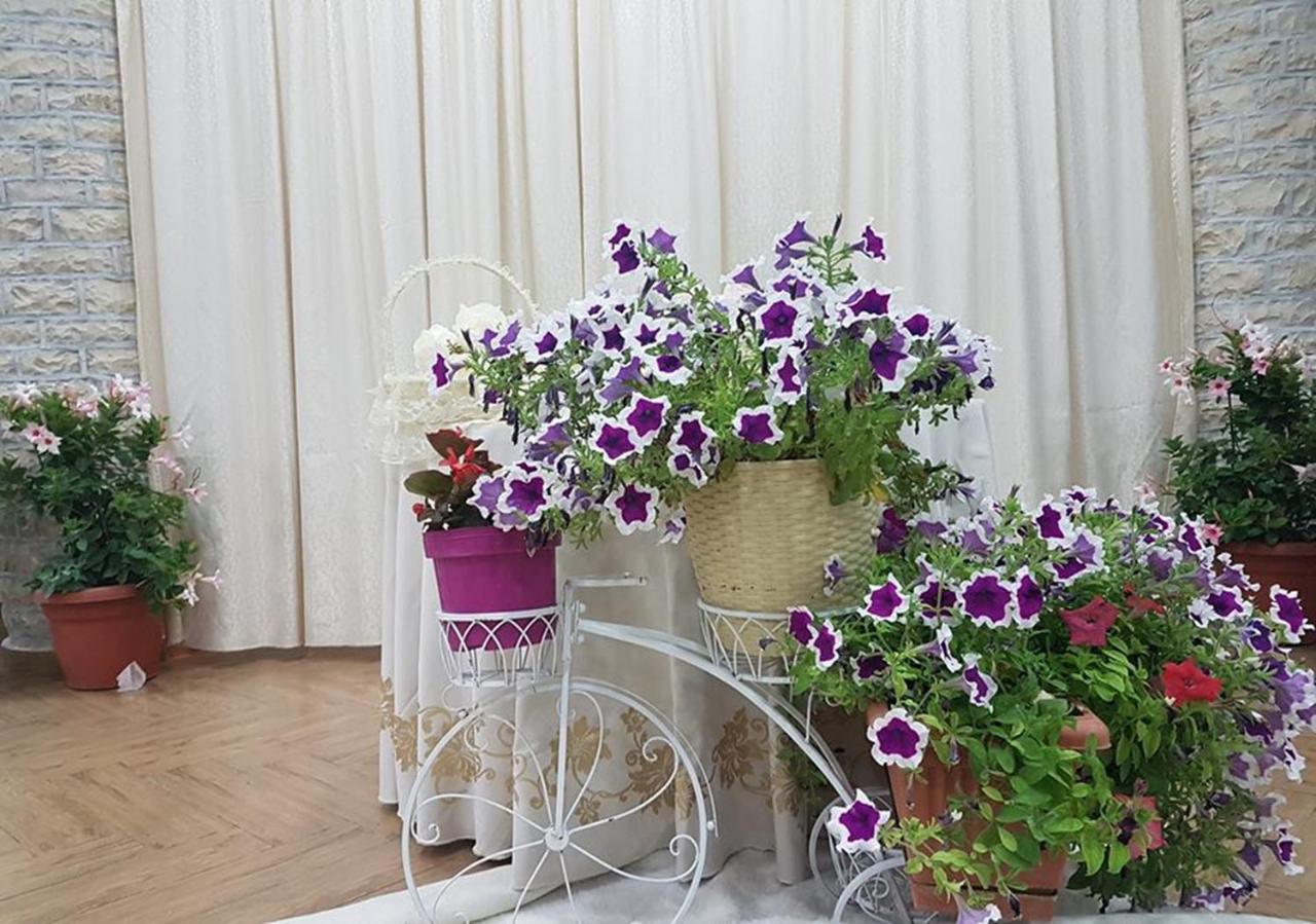 Kt Qato Hotel Bogove Kültér fotó