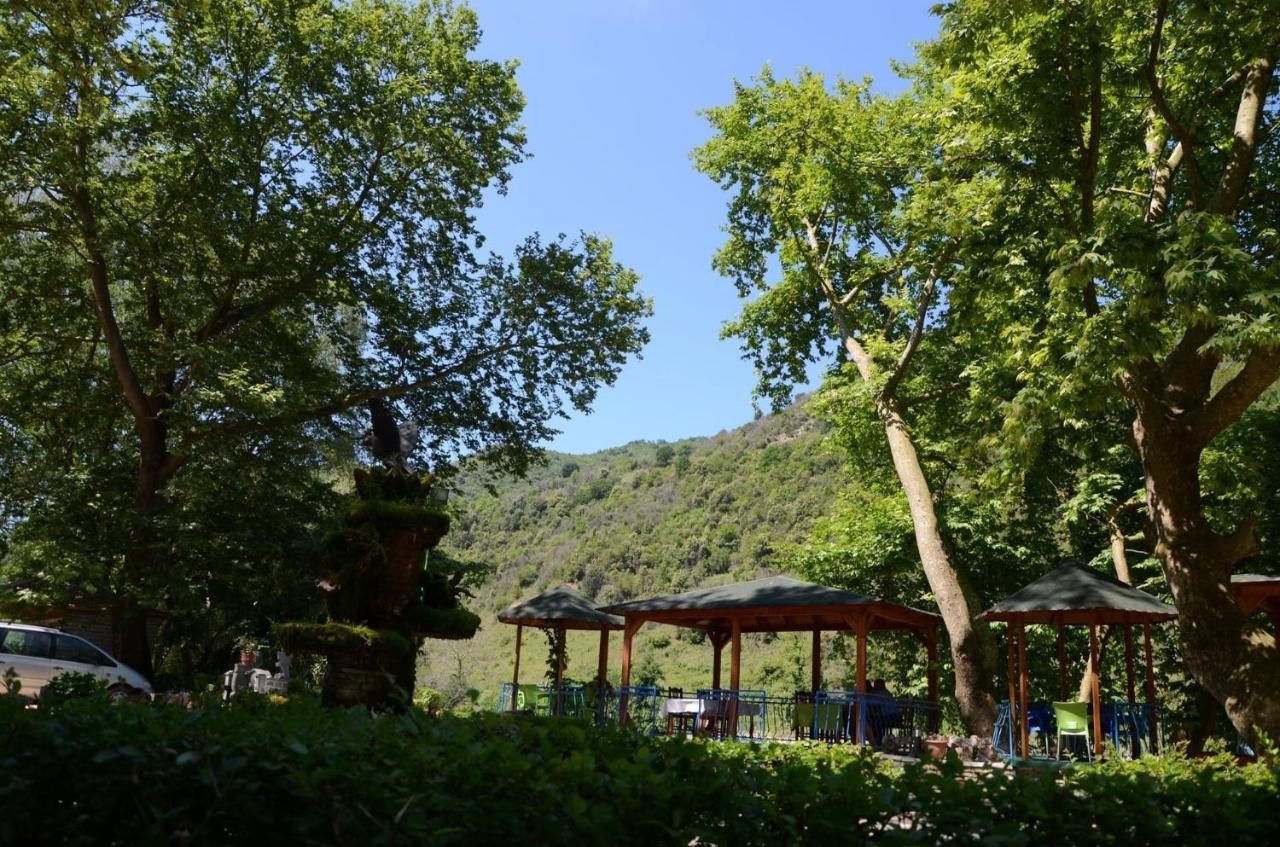 Kt Qato Hotel Bogove Kültér fotó